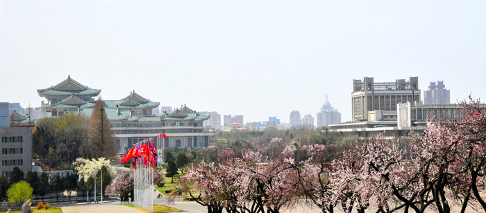 Pyongyang spring 2.png