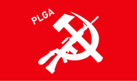 PLGA flag.png