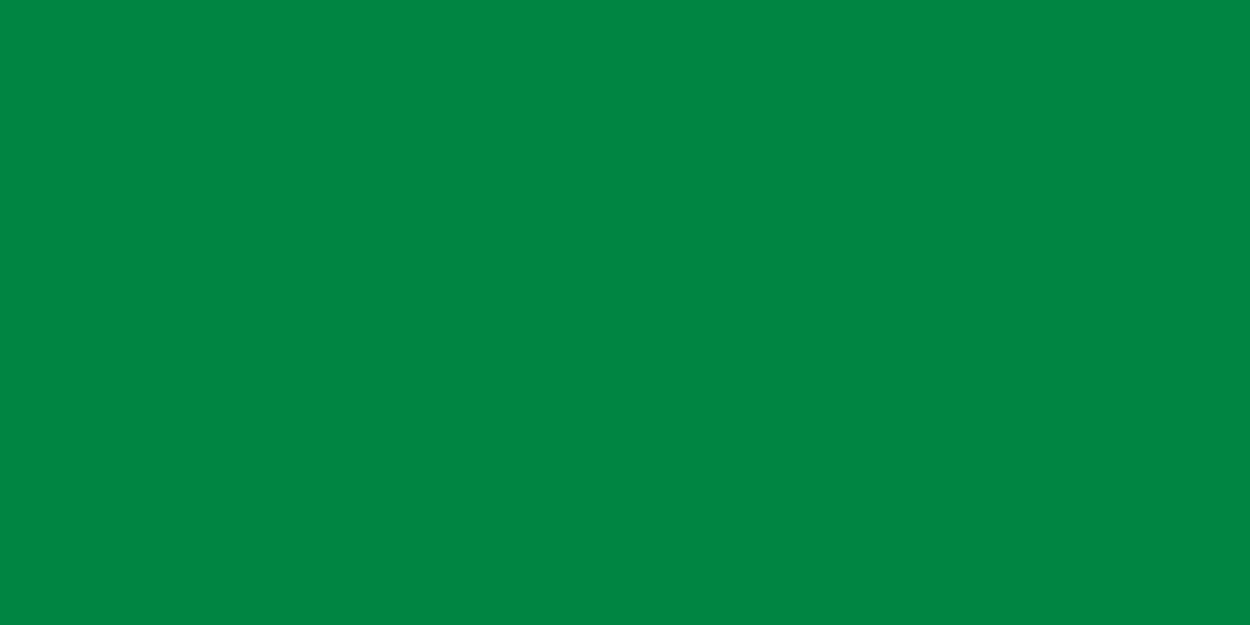 File:Green Libya flag.png