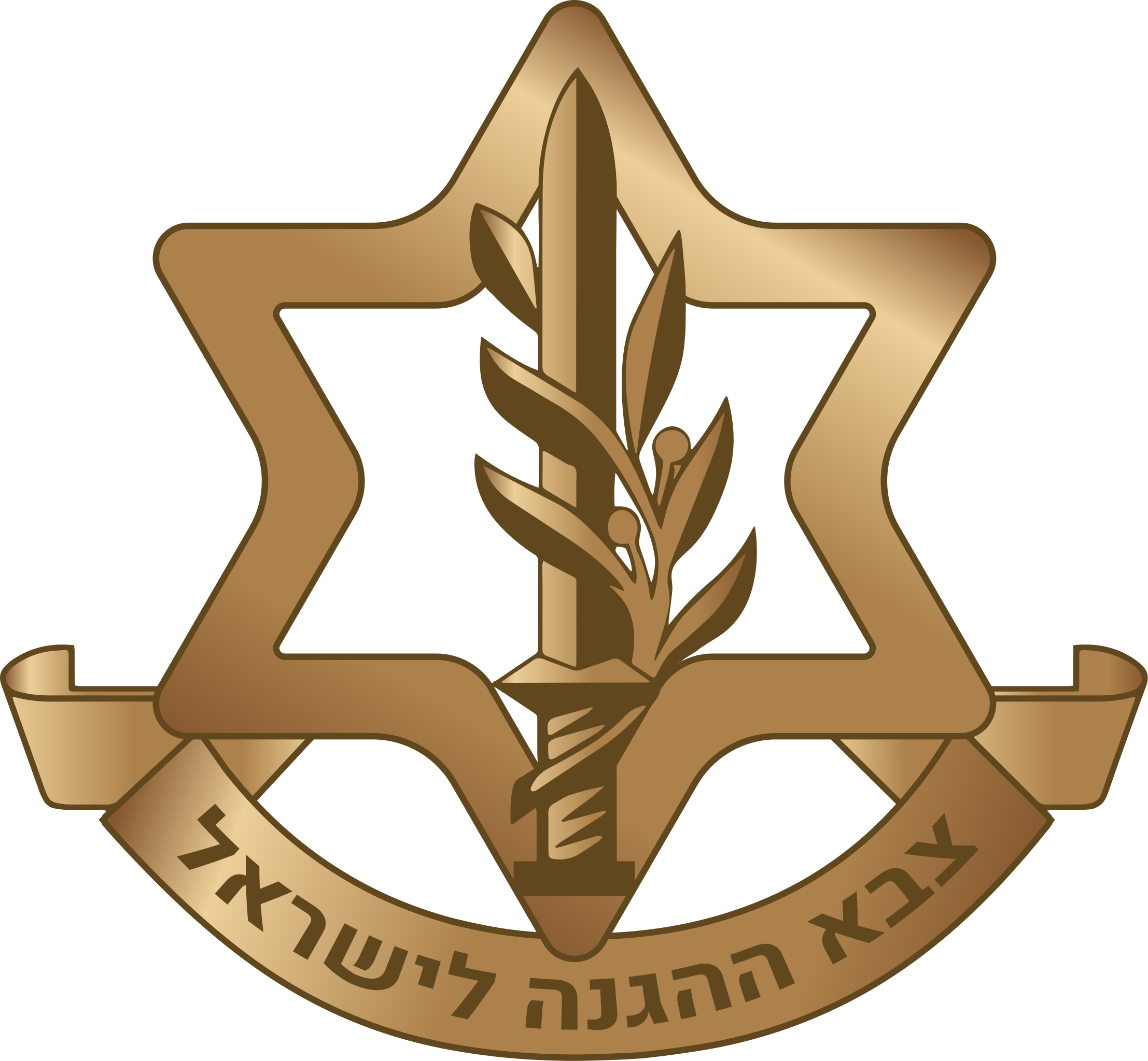 IDF logo.png