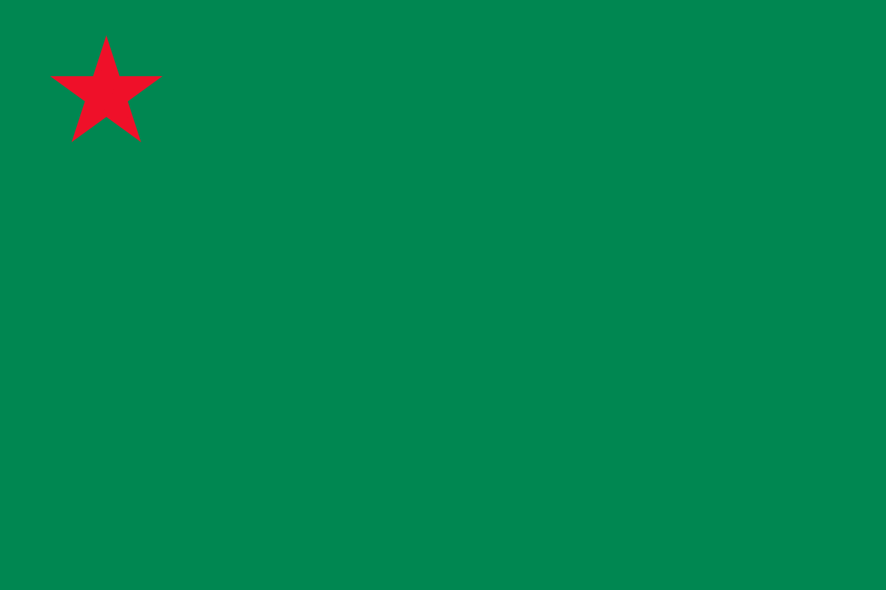 Flag of People's Republic of Benin