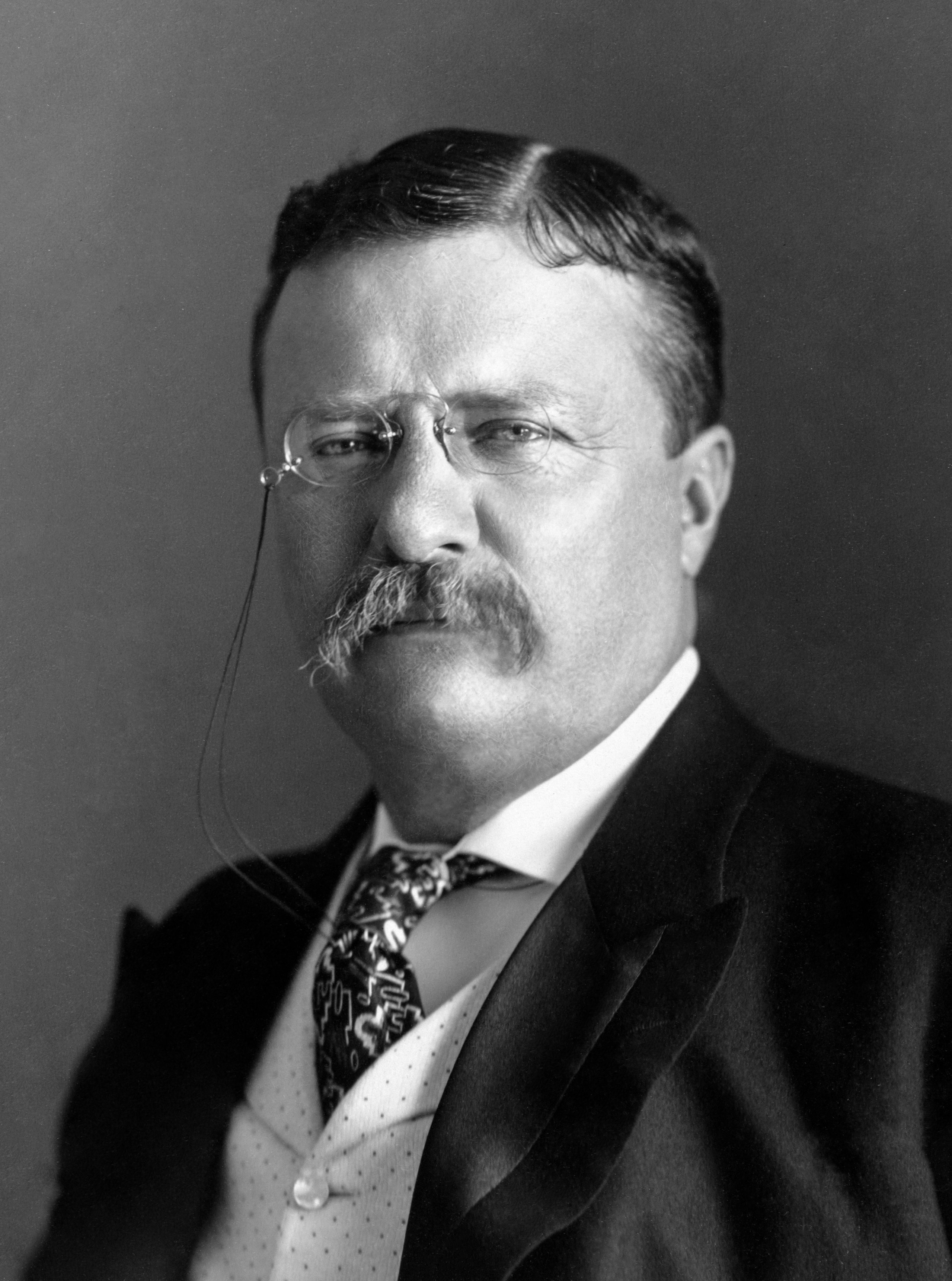 File:Theodore Roosevelt.png