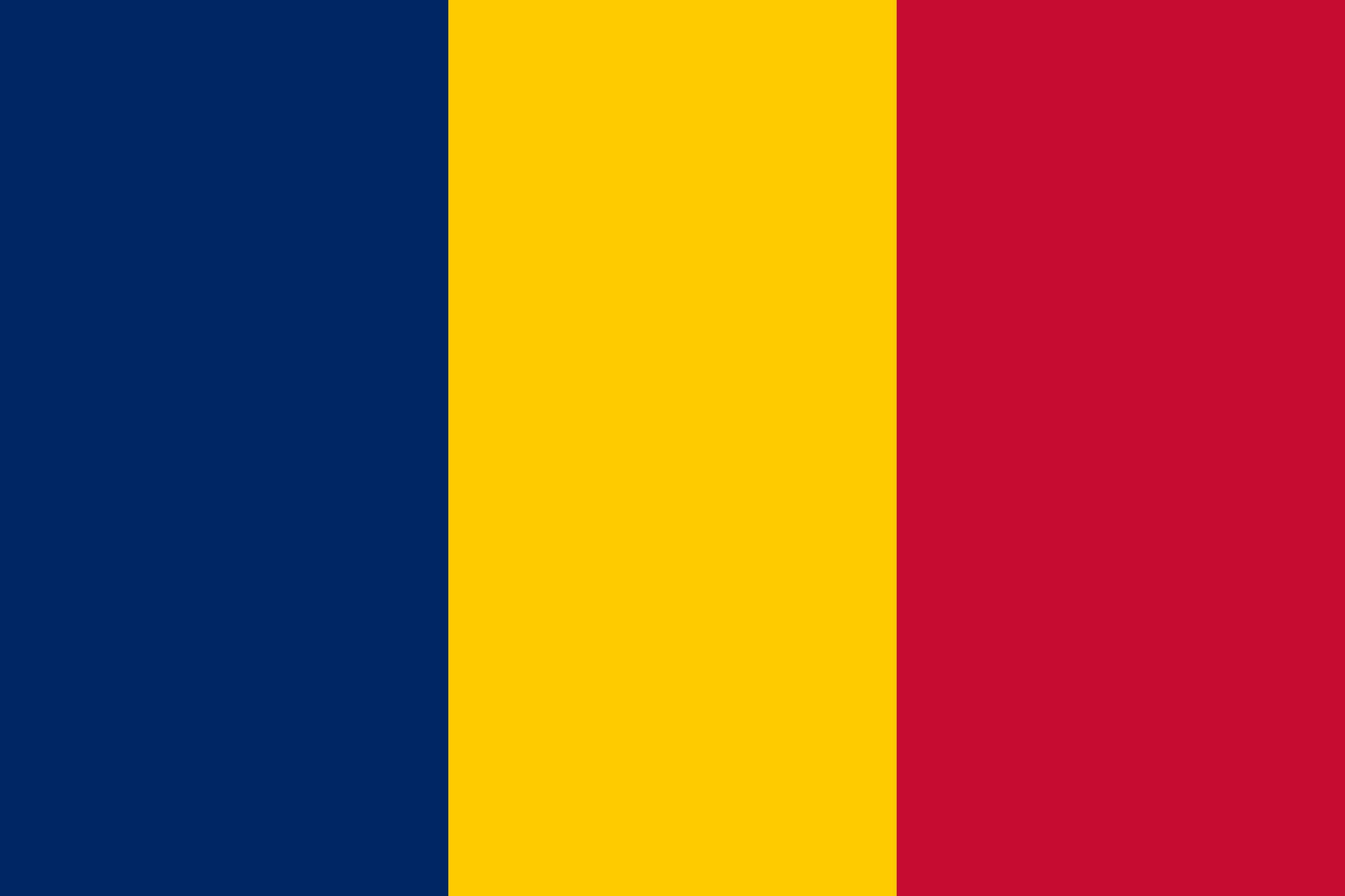 A vertical tricolor flag with dark blue, yellow, and red stripes.