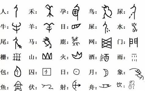 甲骨文与现代汉字的对比.jpg