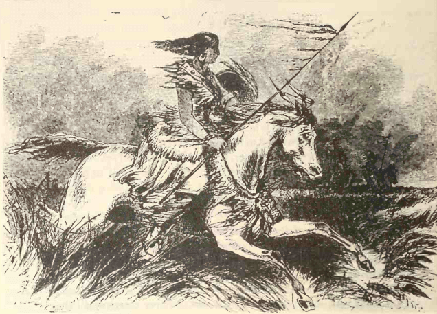 Drawing of Barcheeampe on a horse that is stretched out in a gallop through the long grass. She is holding a spear. hair whipped back in the wind