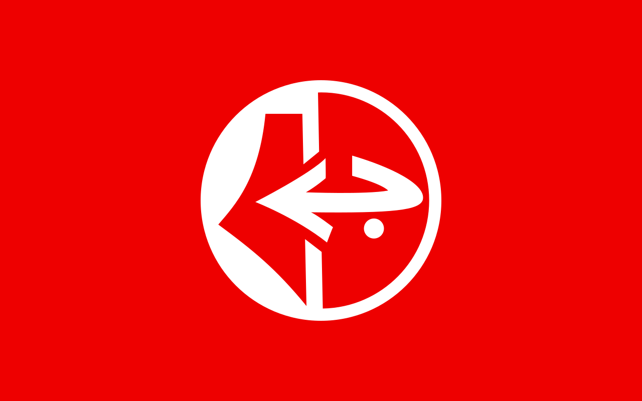 File:PFLP flag.png