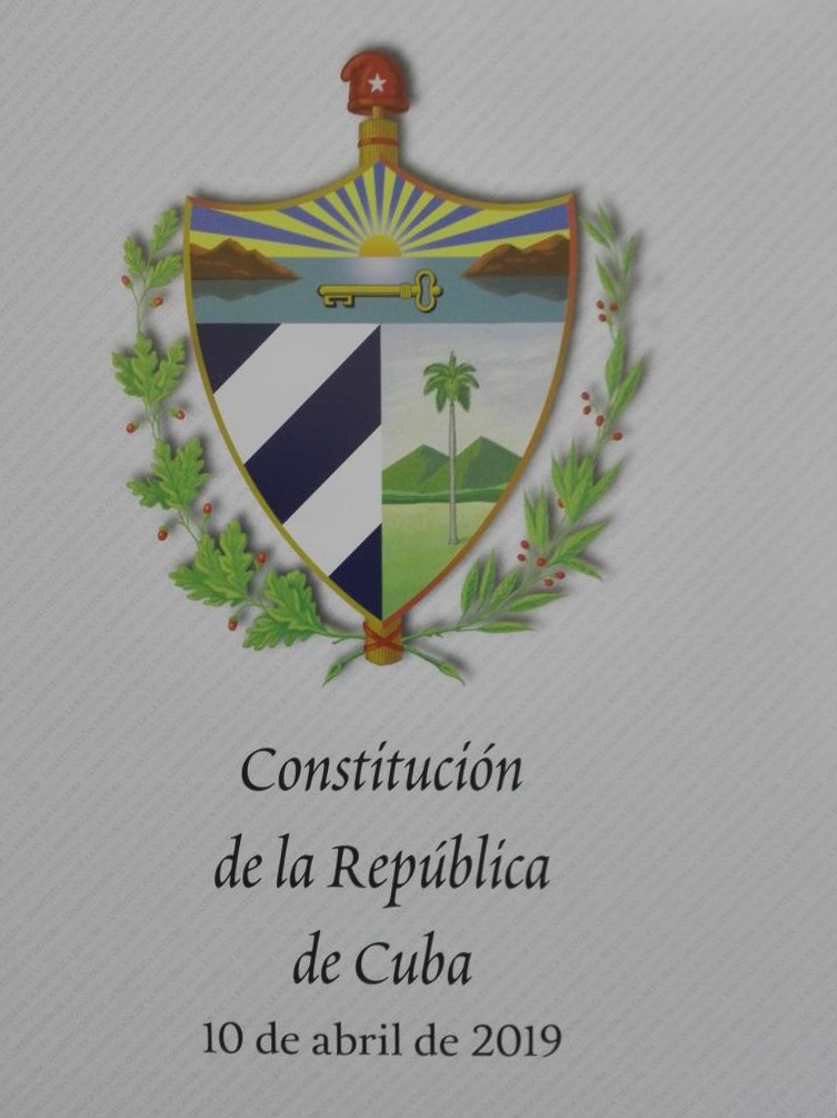 Constitución 2019.jpg