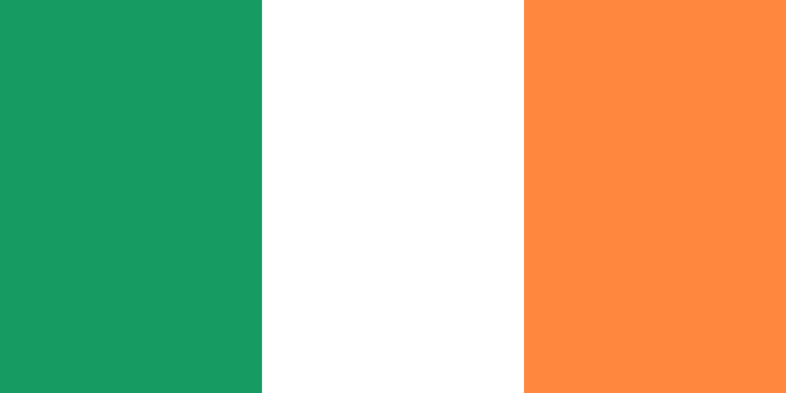 File:Irish flag.png.png