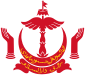 Coat of arms of Brunei Darussalam