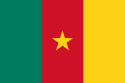 Flag of Republic of Cameroon