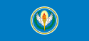 Flag of Central Treaty Organization