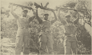 Three ZANLA combatants stand side by side, each holding up a gun.