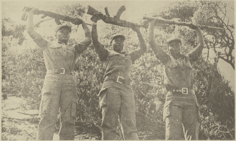 File:ZANLA combatants holding up guns.png