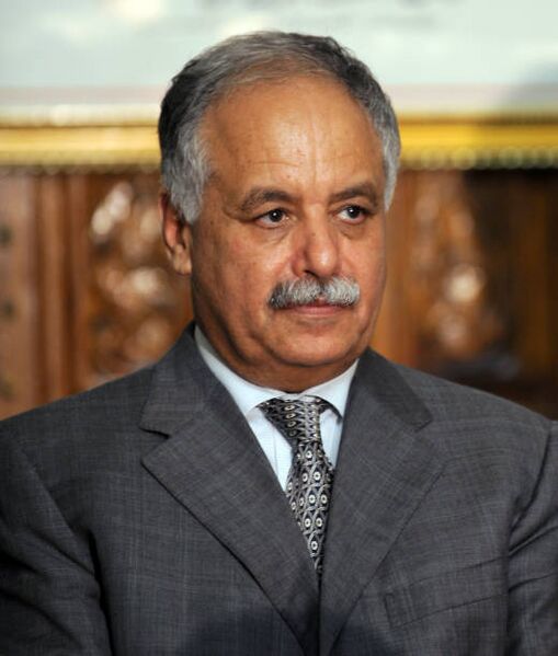 Fichier:Mohamed Baghdadi.jpg