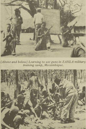 Two photos of people learning to use guns at a ZANLA training camp. Top photo: People kneel while handling guns as a trainer observes. Bottom photo: People seated in rows among trees handling guns.