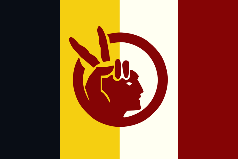 Fichier:AIM flag.png
